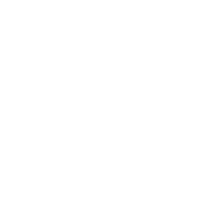 SVOBODA PLAN